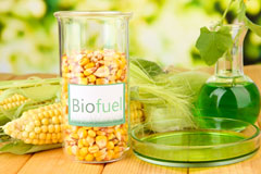 Slade Hooton biofuel availability